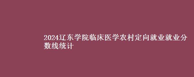 2024辽东学院临床医学农村定向就业就业分数线统计