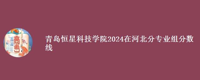 青岛恒星科技学院2024在河北分专业组分数线