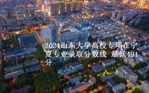 2024山东大学高校专项在宁夏专业录取分数线 最低491分