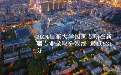 2024山东大学国家专项在新疆专业录取分数线 最低531分