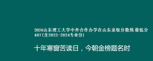 2024山东理工大学中外合作办学在山东录取分数线 最低分487(含2022-2024专业分)