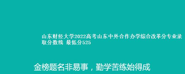 山东财经大学2022高考山东中外合作办学综合改革分专业录取分数线 最低分525