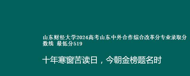 山东财经大学2024高考山东中外合作综合改革分专业录取分数线 最低分519