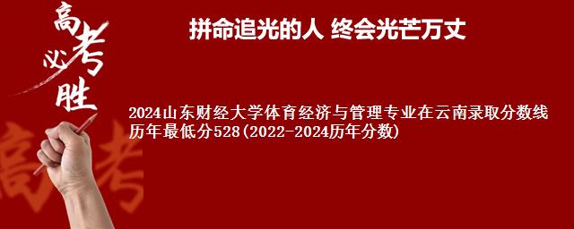 2024山东财经大学体育经济与管理专业在云南录取分数线 历年最低分528(2022-2024历年分数)