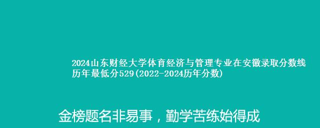 2024山东财经大学体育经济与管理专业在安徽录取分数线 历年最低分529(2022-2024历年分数)