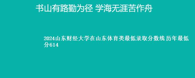 2024山东财经大学在山东体育类最低录取分数线 历年最低分614