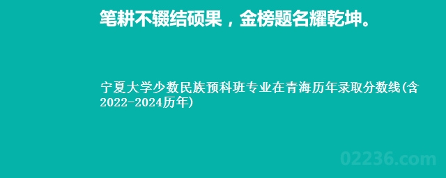 宁夏大学少数民族预科班专业在青海历年录取分数线(含2022-2024历年)