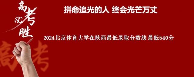 2024北京体育大学在陕西最低录取分数线 最低540分