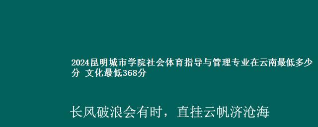 2024昆明城市学院社会体育指导与管理专业在云南最低多少分 文化最低368分