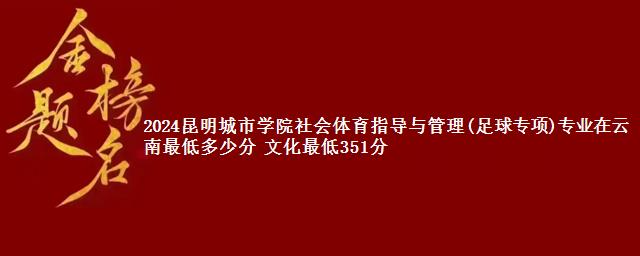 2024昆明城市学院社会体育指导与管理(足球专项)专业在云南最低多少分 文化最低351分