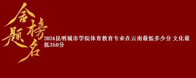 2024昆明城市学院体育教育专业在云南最低多少分 文化最低350分