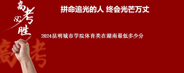 2024昆明城市学院体育类在湖南最低多少分 