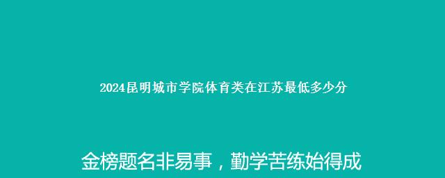 2024昆明城市学院体育类在江苏最低多少分 