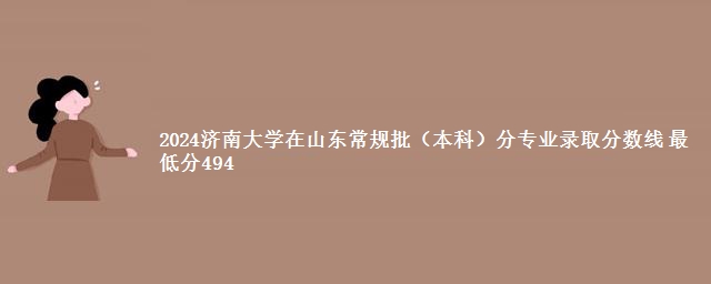 2024济南大学在山东常规批（本科）分专业录取分数线 最低分494