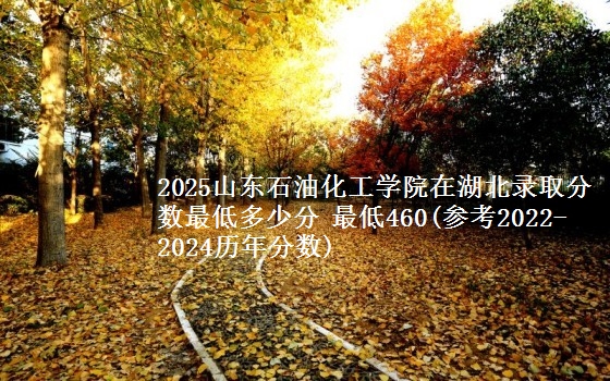 2025山东石油化工学院在湖北最低多少分录取 最低460(参考2022-2024历年分数)