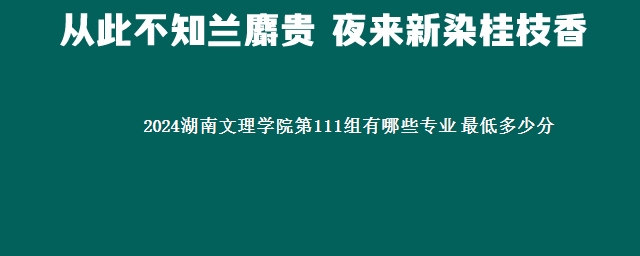 2024湖南文理学院第111组有哪些专业 最低多少分