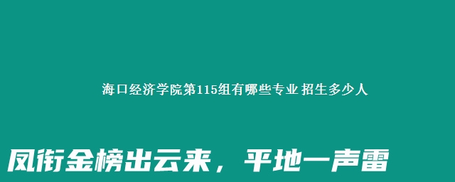 海口经济学院第115组有哪些专业 招生多少人