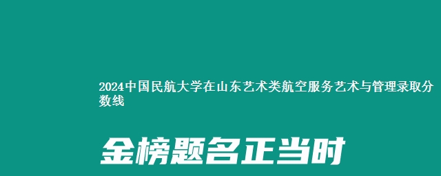 2024中国民航大学在山东艺术类航空服务艺术与管理录取分数线