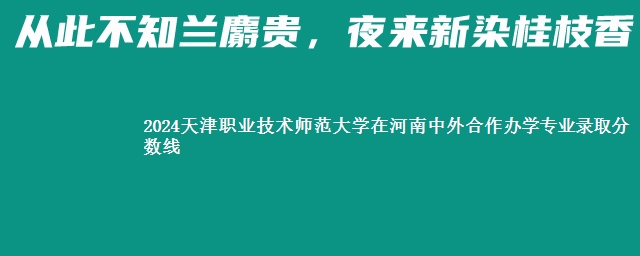 2024天津职业技术师范大学在河南中外合作办学专业录取分数线