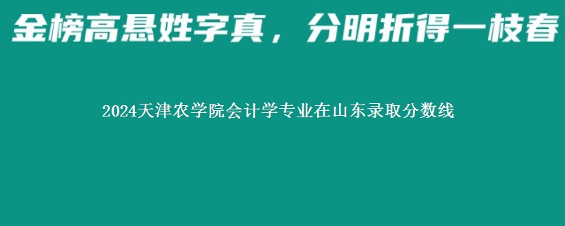 2024天津农学院会计学专业在山东录取分数线