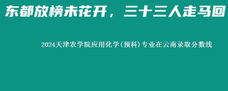 2024天津农学院应用化学(预科)专业在云南录取分数线