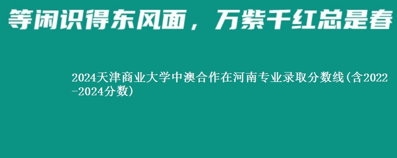 2024天津商业大学中澳合作在河南专业录取分数线(含2022-2024分数)