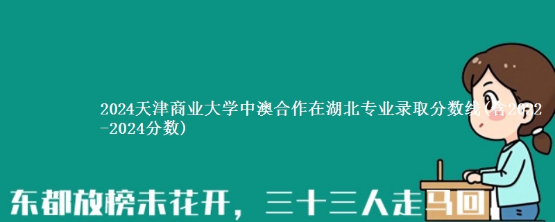 2024天津商业大学中澳合作在湖北专业录取分数线(含2022-2024分数)