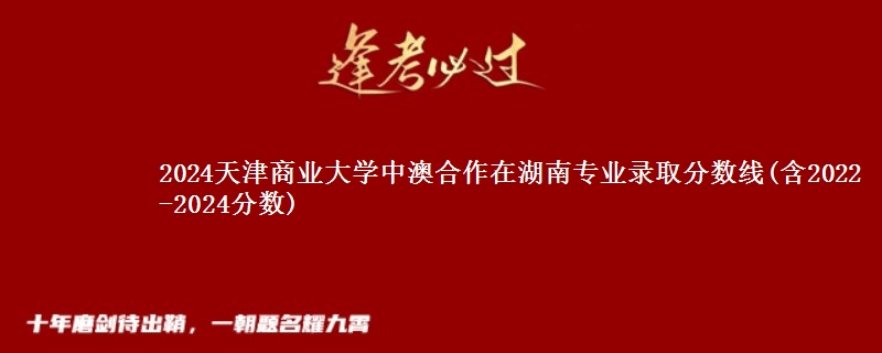 2024天津商业大学中澳合作在湖南专业录取分数线(含2022-2024分数)