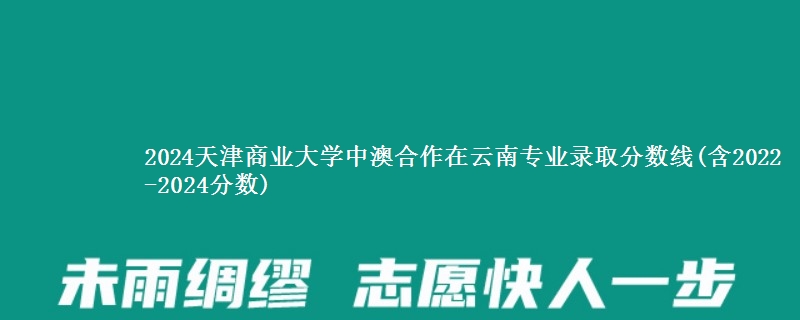 2024天津商业大学中澳合作在云南专业录取分数线(含2022-2024分数)