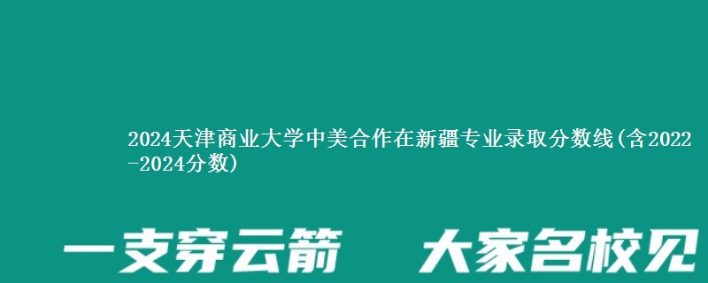 2024天津商业大学中美合作在新疆专业录取分数线(含2022-2024分数)