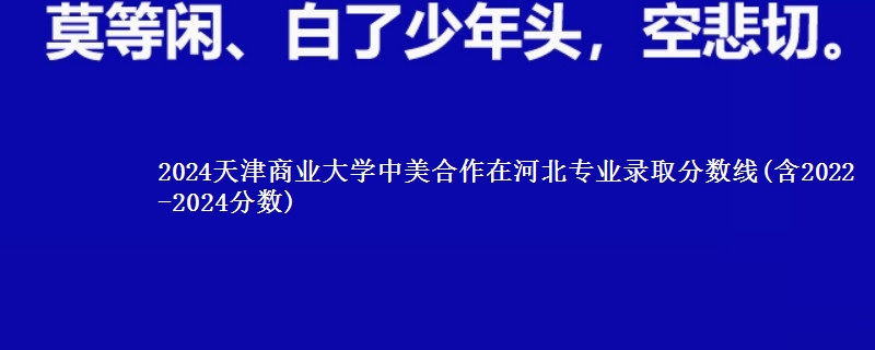 2024天津商业大学中美合作在河北专业录取分数线(含2022-2024分数)