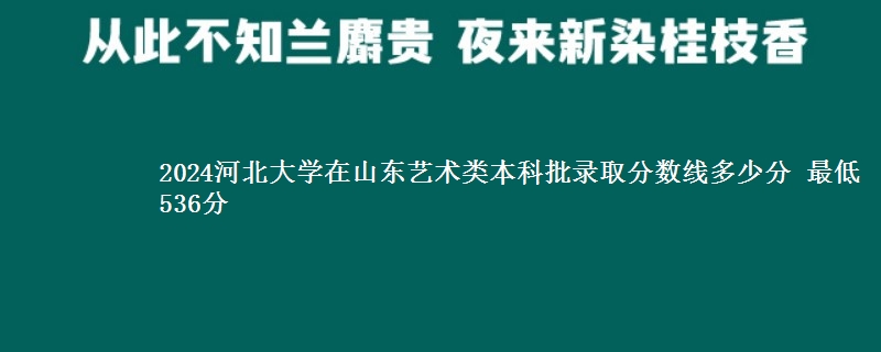 2024河北大学在山东艺术类本科批录取分数线多少分 最低536分