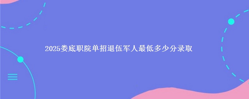 2025娄底职院单招退伍军人最低多少分录取