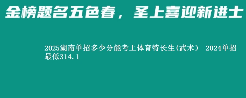 2025湖南单招多少分能考上体育特长生(武术） 2024单招最低314.1