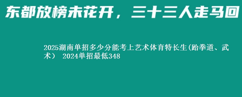 2025湖南单招多少分能考上艺术体育特长生(跆拳道、武术） 2024单招最低348