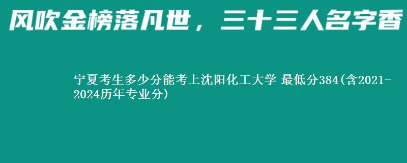 宁夏考生多少分能考上沈阳化工大学 最低分384(含2021-2024历年专业分)