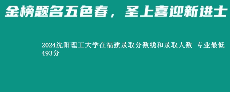 2024沈阳理工大学在福建最低分和专业录取人数 专业最低493分