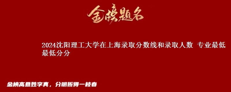 2024沈阳理工大学在上海录取分数线和录取人数 最低436