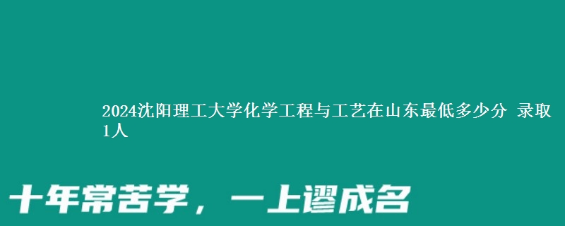 2024沈阳理工大学化学工程与工艺在山东最低多少分 录取1人