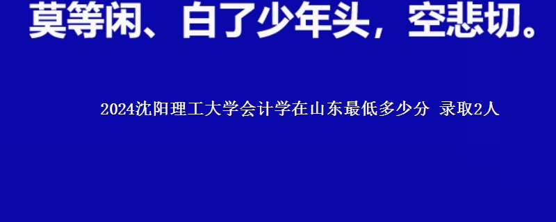 2024沈阳理工大学会计学在山东最低多少分 录取2人