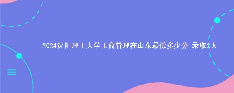 2024沈阳理工大学工商管理在山东最低多少分 录取2人