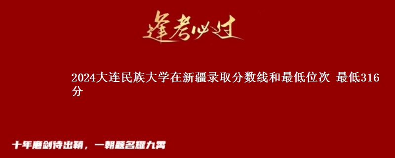 2024大连民族大学在新疆各专业最低分 最低316分