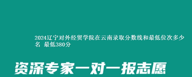 2024辽宁对外经贸学院在云南录取分数线和最低位次多少名 最低380分