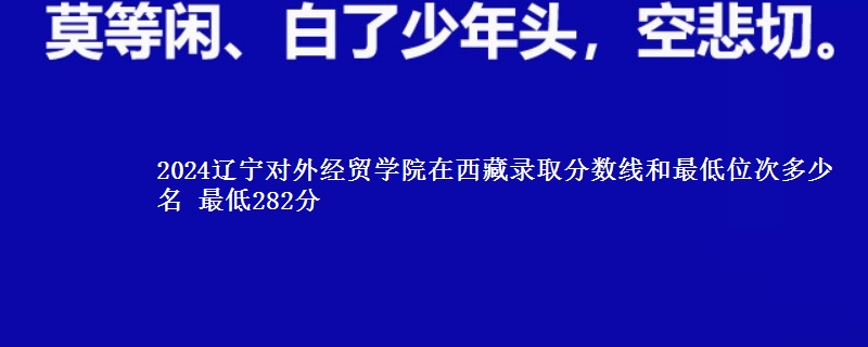 2024辽宁对外经贸学院在西藏录取分数线和最低位次多少名 最低282分