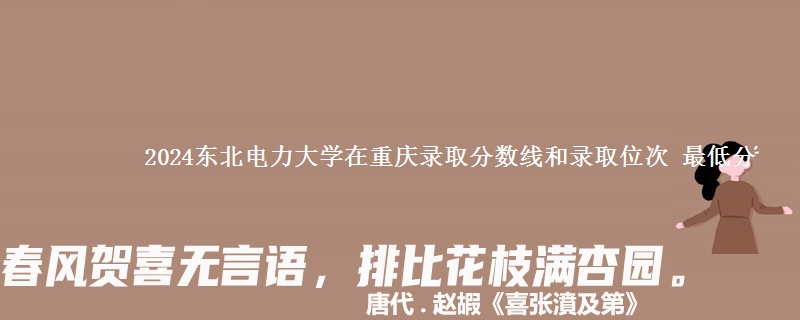 2024东北电力大学在重庆录取最低分和人数