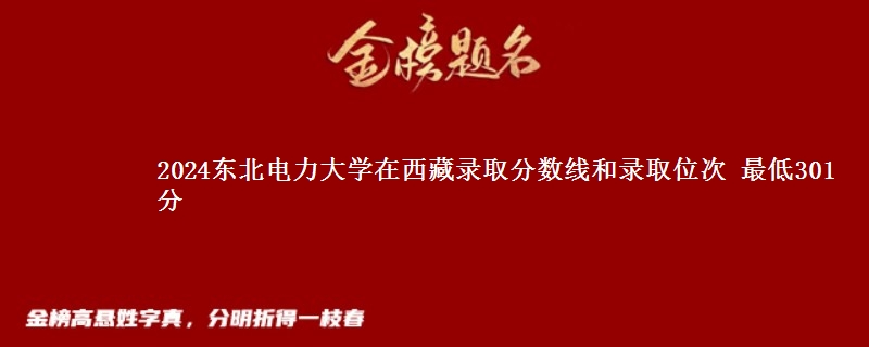 2024东北电力大学在西藏录取分数线和录取位次 最低301分