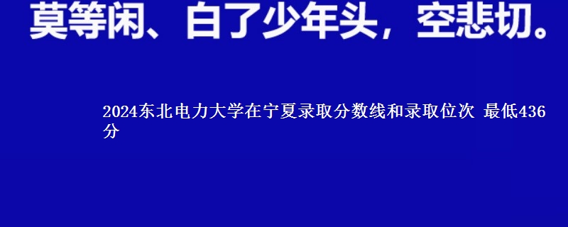 2024东北电力大学在宁夏录取分数线和录取位次 最低436分