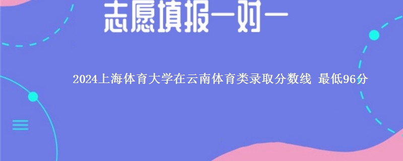 2024上海体育大学在云南体育类录取分数线 最低96分