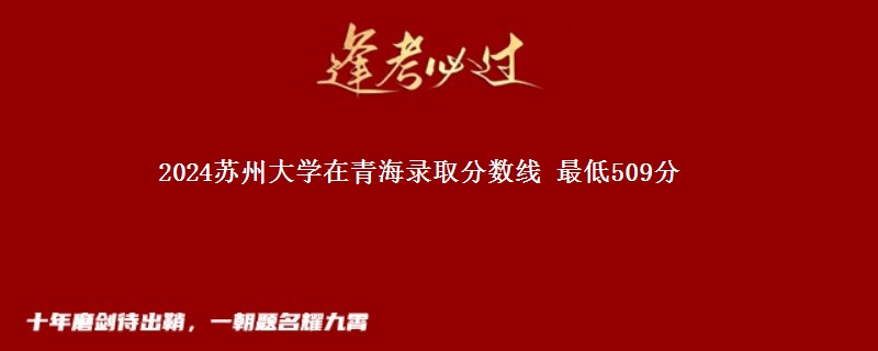 2024苏州大学在青海录取分数线 最低509分