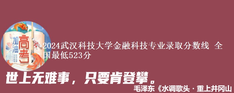 2024武汉科技大学金融科技专业录取分数线 全国最低523分